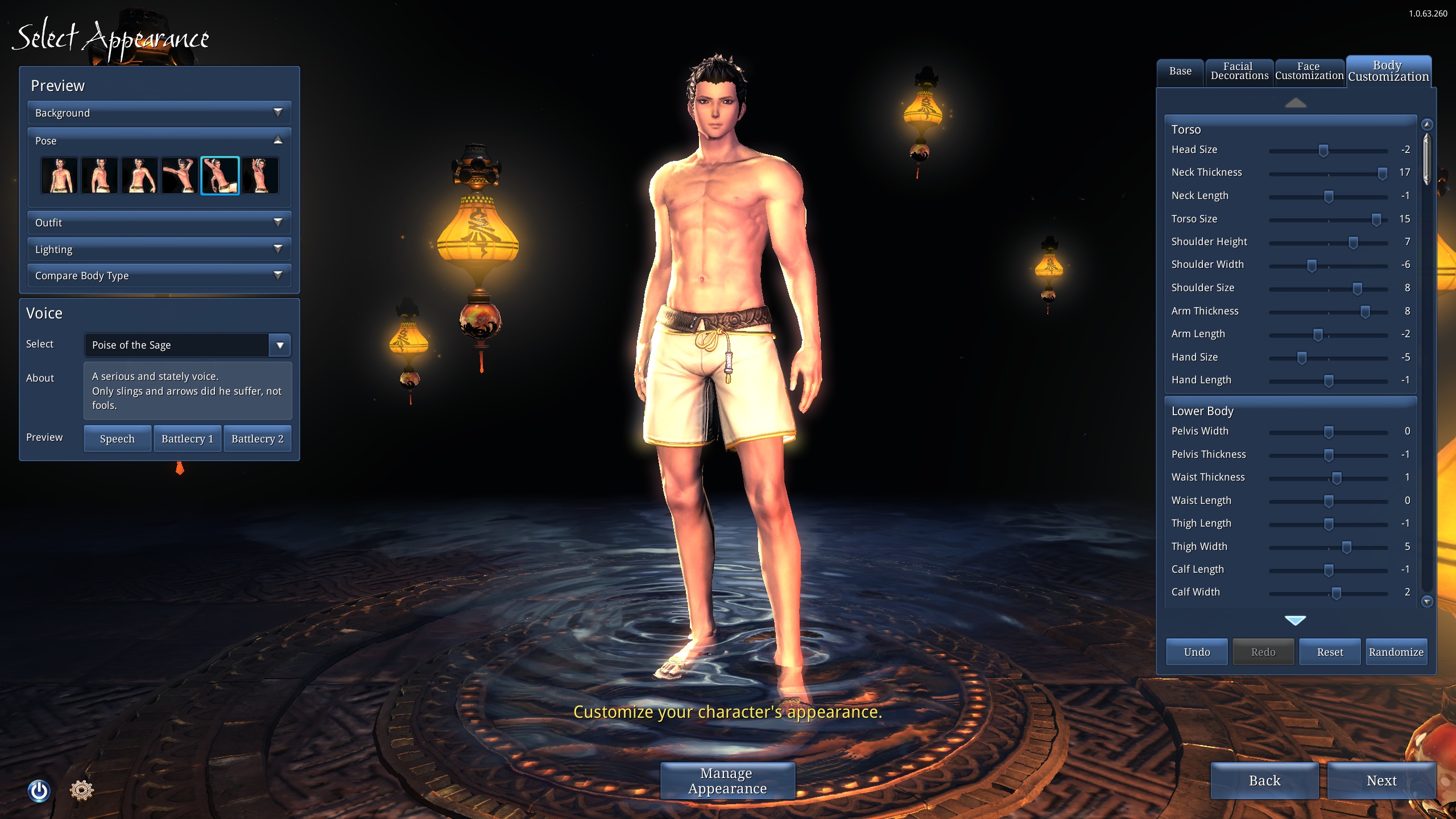 blade and soul private
